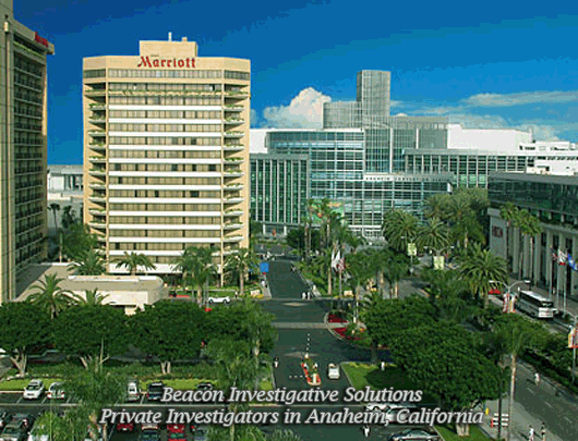 Anaheim Private Investigator