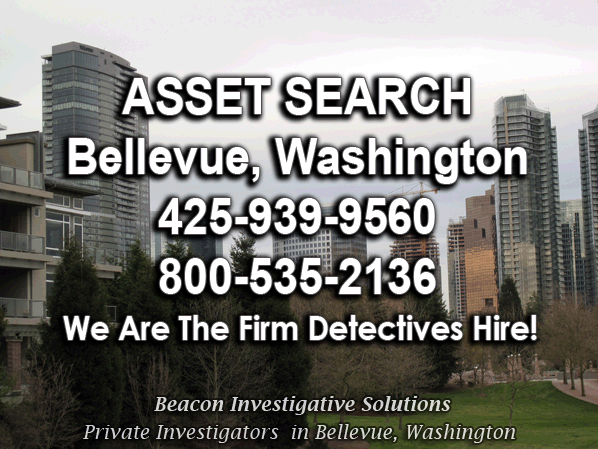 asset_search_Bellevue_Washington Bellevue Washington Asset Search
