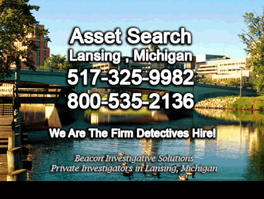 Lansing Michigan Asset Search