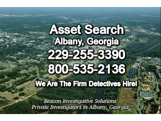 Albany Georgia Asset Search