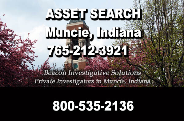 Muncie Indiana Asset Search