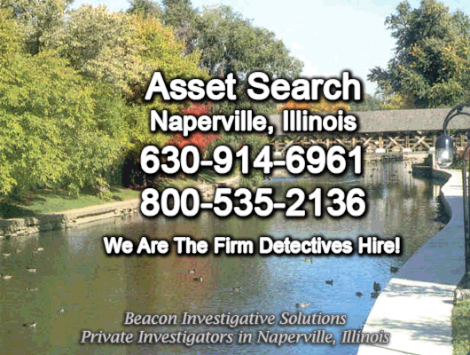 Asset-Search-Naperville-Illinois Naperville Illinois Asset Search